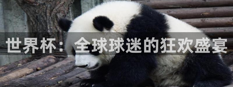 世界杯视频:世界杯:全球球迷的狂欢盛宴