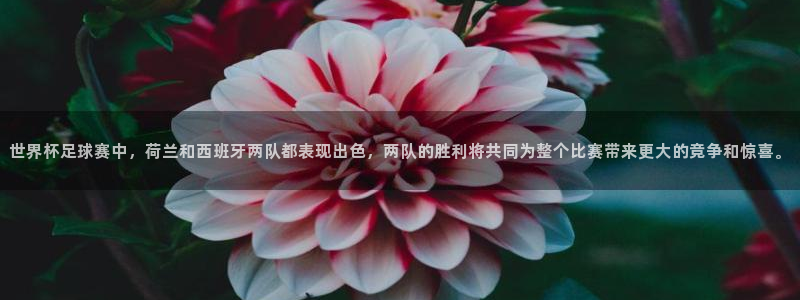 世界杯预选赛排名:世界杯足球赛中,荷兰和西班牙两队都表现出色,两队的胜利将共同为整个比赛带来更大的竞争和惊喜。