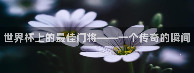 2026年世界杯对阵图:世界杯上的最佳门将——一个传奇的瞬间