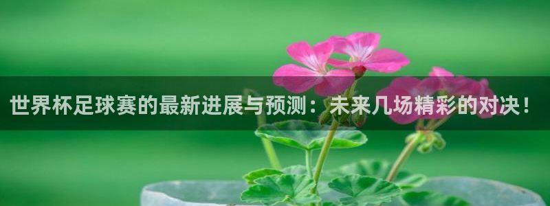 世界直播:世界杯足球赛的最新进展与预测:未来几场精彩的对决!