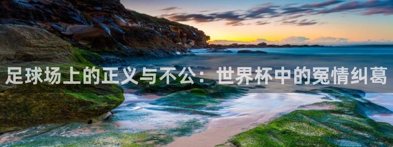 今年的世界杯:足球场上的正义与不公:世界杯中的冤情纠葛