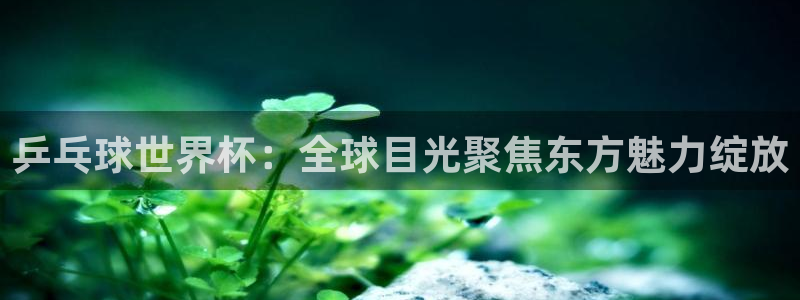 2026世界杯预选赛:乒乓球世界杯:全球目光聚焦东方魅力绽放