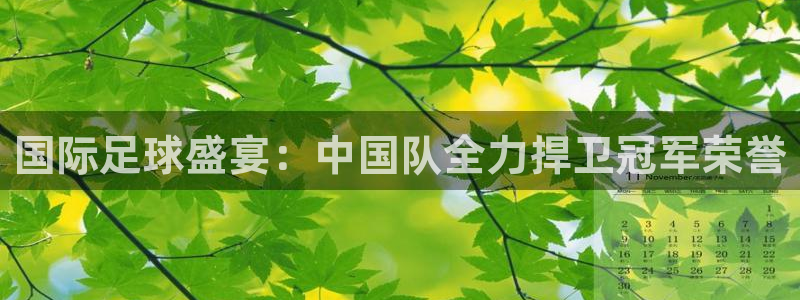 世界杯足球2026:国际足球盛宴:中国队全力捍卫冠军荣誉