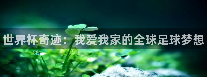 2026世界杯直播免费观看:世界杯奇迹:我爱我家的全球足球梦想