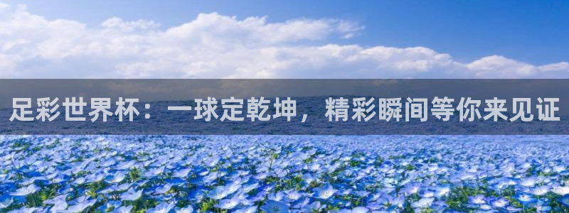 2026年世界杯直播平台:足彩世界杯:一球定乾坤,精彩瞬间等你来见证