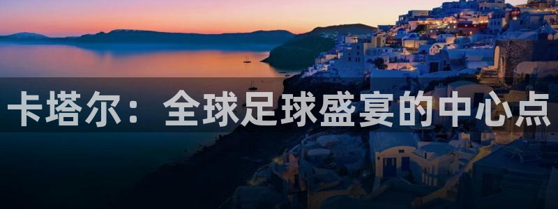 2006年世界杯:卡塔尔:全球足球盛宴的中心点